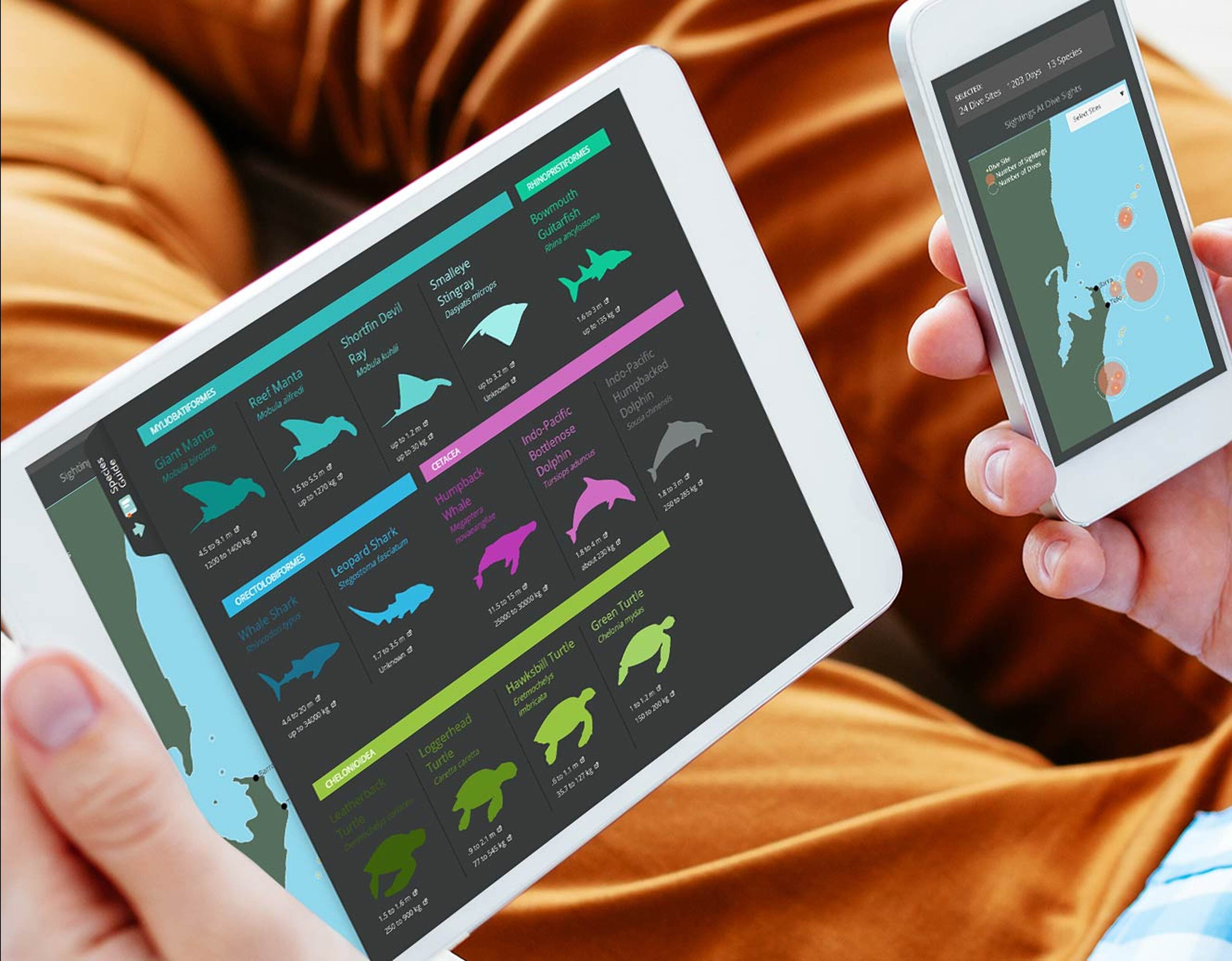 Dive the Data rapidly deployed to data partners globally, two founders to release the core application within weeks.