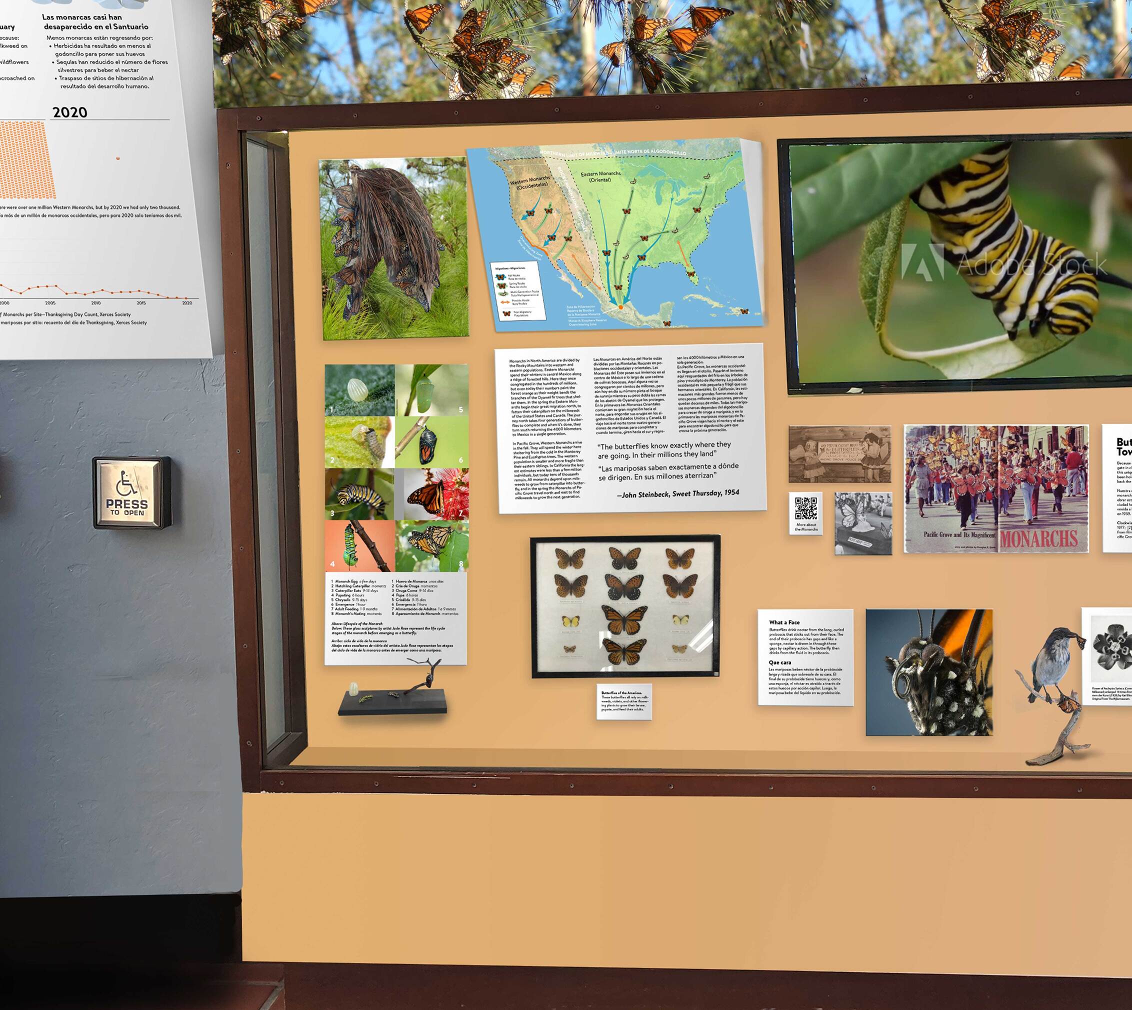 Mockups like this one of the exhibit cabinet help ensure that the content is coming across.