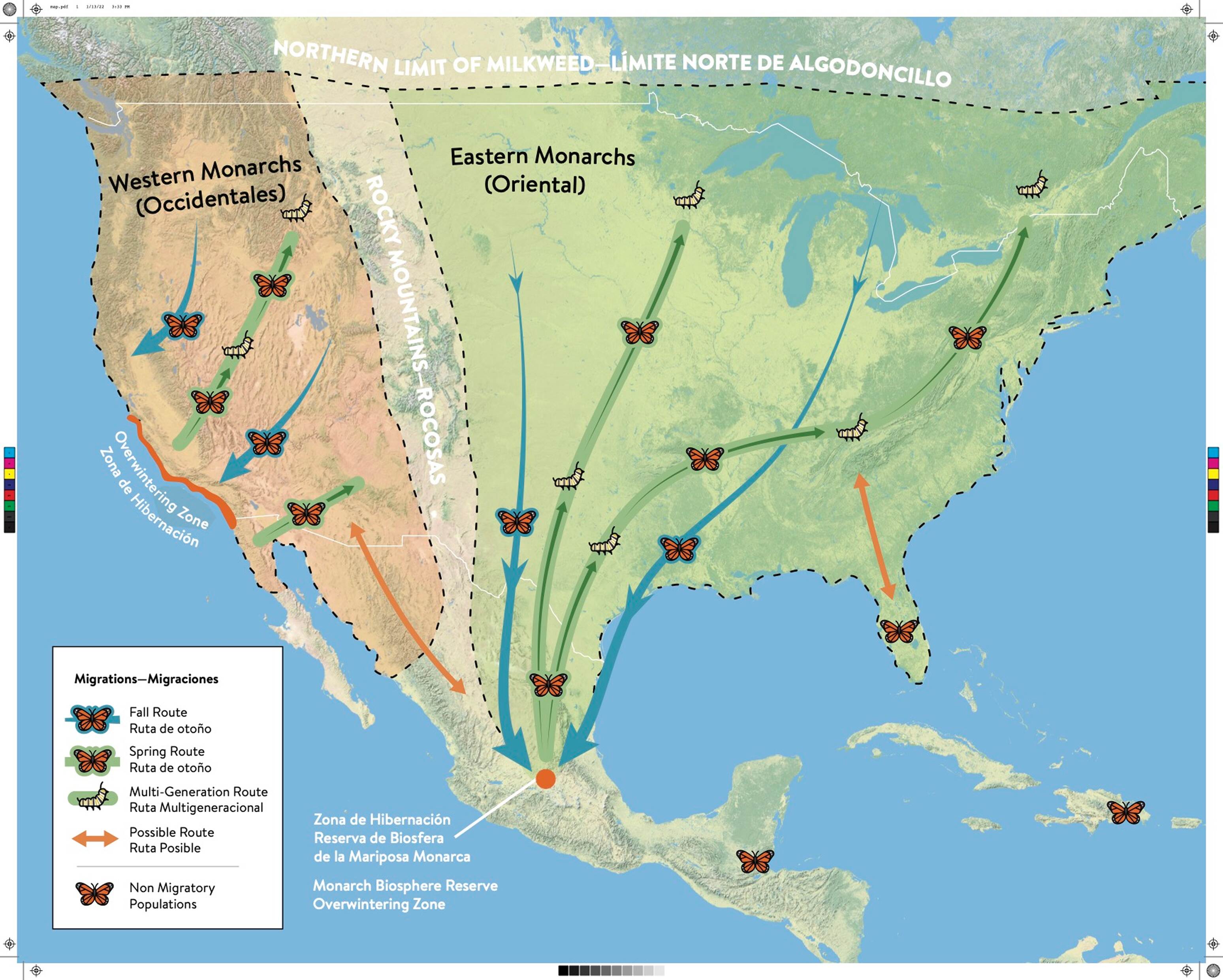 Illustrating maps helps communicate to a broad public larger trends we are connected to. Here the map of the Monarch Migration shows how populations across North America perform their incredible multi-generational migration.