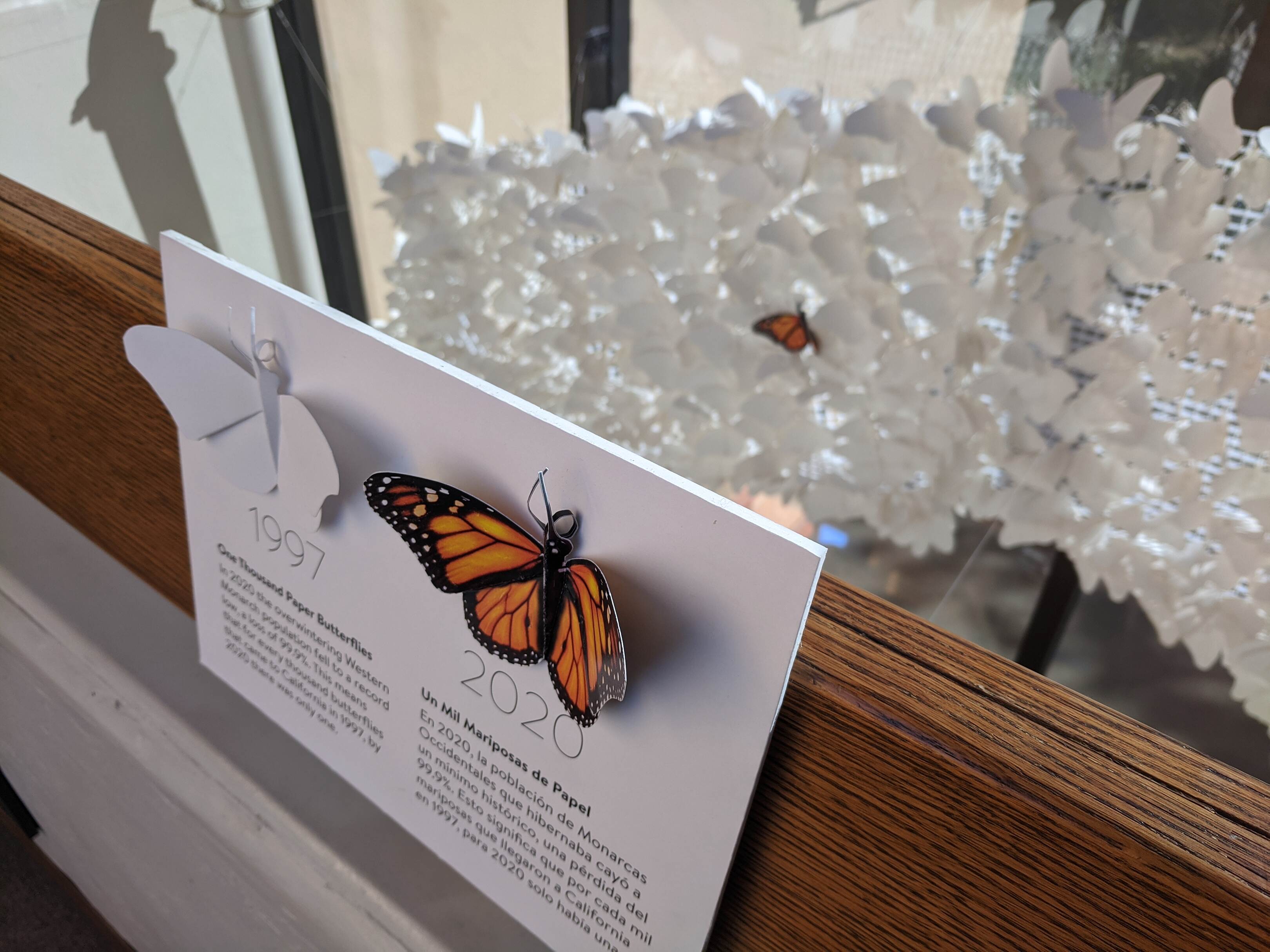 View of the hanging butterfly sculpture in the museum entryway.