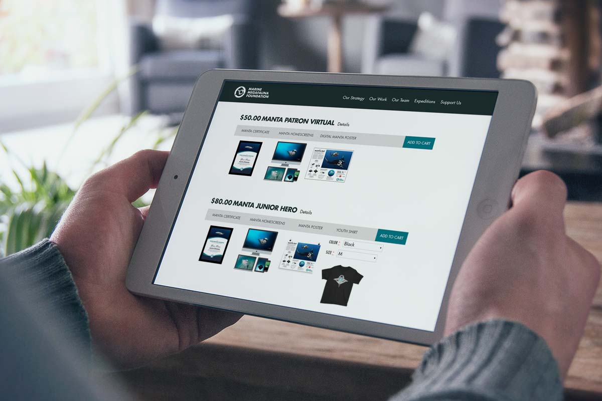 The four individuals represent three different species of mantas and each has been sighted multiple times.