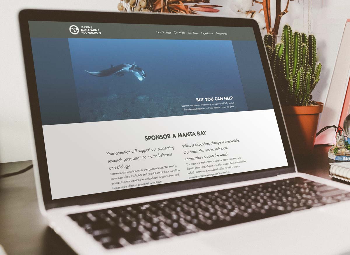 The manta sponsorship program was something that scaled to a global audience.